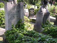 02-20 Magyary-Kossa Gyula